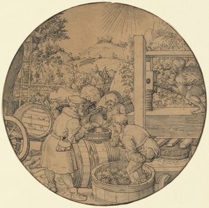 葡萄酒的收获（九月）