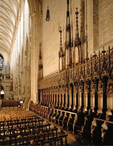 乌尔姆明斯特的蘑菇厅 作者 