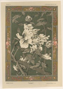花卉，来自&39;装饰幻想&39;的板31，由Gillot雕刻，由Jules Rouam，巴黎艺术书店出版，1887年（彩色雕刻） 作者 朱尔斯·奥古斯特·哈伯特·戴斯