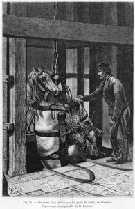 马在Le Creusot的火车头上绞尽脑汁，图片来自路易西蒙（1830-86）1867年的“La Vie souterraine”