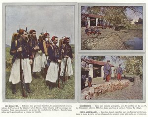 Zouaves，Monthyon，德国贝壳