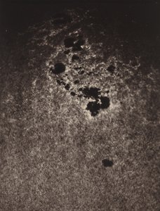无题（太阳表面研究），1893 年（照片） 作者 朱尔斯·詹森