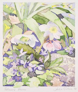 二月花 作者 朱莉娅·吉布森（Julia Gibson）