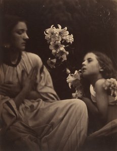 一项研究，1865-66年。 作者 朱莉娅·玛格丽特·卡梅伦