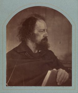 [A. Tennyson/The Dirty Monk] 作者 朱莉娅·玛格丽特·卡梅伦
