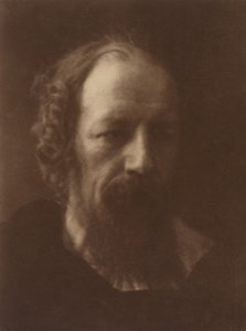 阿尔弗雷德-丁尼生勋爵，1867年，1905年印刷。 作者 朱莉娅·玛格丽特·卡梅伦