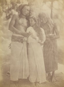 [树旁的锡兰人小组]，1878年。 作者 朱莉娅·玛格丽特·卡梅伦