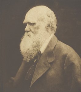 查尔斯-达尔文，1868年，约1893年印刷。 作者 朱莉娅·玛格丽特·卡梅伦
