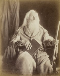 查尔斯-海-卡梅伦，186465年。 作者 朱莉娅·玛格丽特·卡梅伦