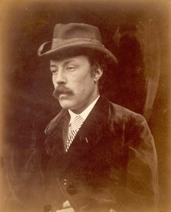 欧文-海-卡梅伦，1869年11月25日。 作者 朱莉娅·玛格丽特·卡梅伦
