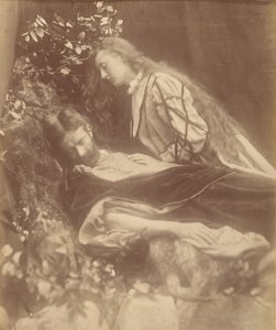 加雷思和丽奈特，1874年。 作者 朱莉娅·玛格丽特·卡梅伦