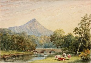 来自Tynnahinch的Sugarloaf Hill（纸上写着（贴在卡片上）） 作者 朱莉娅·斯温本（Julia Swinburne）