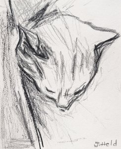 睡猫，2015年，（铅笔） 作者 朱莉英雄