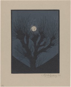 月夜