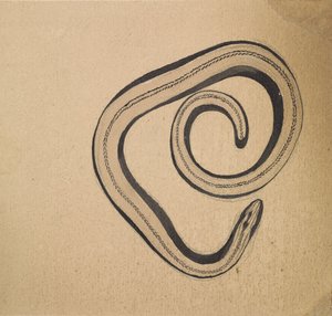 榛虫