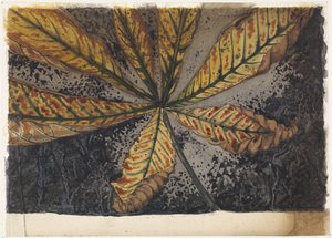 栗树叶 作者 朱莉·德格拉格