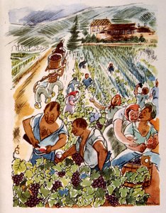 法国葡萄园。 1944 年。朱利安·帕维尔插图