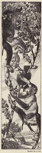 猴子在树上摘果子（石版画） 作者 朱利叶斯·迪兹
