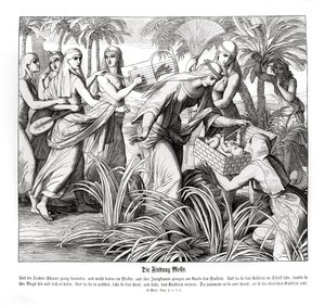 摩西在芦苇丛中被发现，出埃及记 作者 朱利叶斯·施诺尔·冯·卡洛斯菲尔德