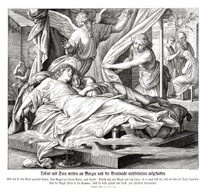 托比亚斯和撒拉被发现时是安全的，《托比特书》。 作者 朱利叶斯·施诺尔·冯·卡洛斯菲尔德