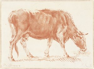 牧牛 作者 彼得·范·布洛门（Pieter van Bloemen）