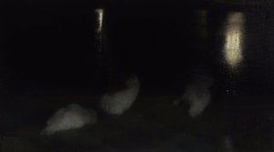 夜曲。天鹅在华沙撒克逊花园之夜