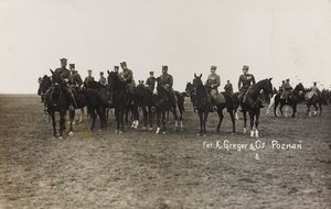 专辑杰克博西奥 - 战争运动1917-1920：波兰的军事任务（华沙 - 波森）1919年3月，波森（波兹南）的马电池，03-041919 作者 格里格