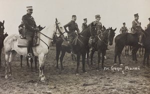 专辑杰克博西奥 - 战争运动1917-1920：波兰的军事任务（华沙 - 波森）1919年3月，波森（波兹南）的马电池，03-041919 作者 格里格