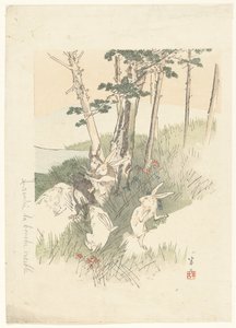 兔子和一只鼹鼠