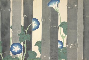 来自Momoyo-gusa的Asagao 作者 神坂积家