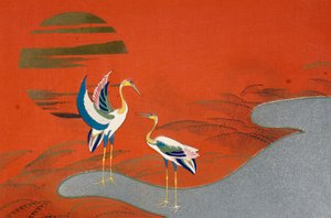 夕阳下的鸟儿在湖上