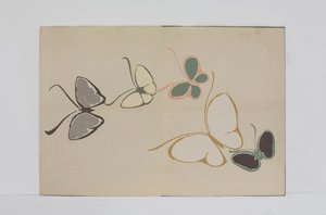 千种蝴蝶》第二卷 作者 神坂积家