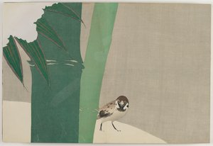百世花卉（桃源草）：雪中竹 (Secchuchiku) 作者 神坂积家