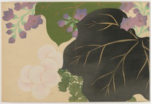 百世花卉（桃源草）：菊花和泡桐（菊切） 作者 神坂积家