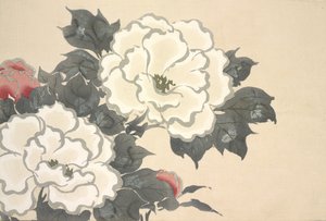 来自Momoyo-gusa（The World of Things）的Fukami-Gusa第一卷，pub.1909（颜色块木刻）