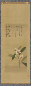 一枝枇杷，江户时期，18世纪。 作者 鹿野仙人院道信