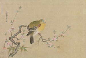中国绘画的副本专辑，17世纪。