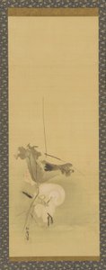 鹭鸶和荷花，江户时期，17世纪中叶至18世纪初。