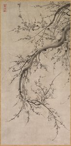 梅花，17世纪。 作者 卡诺A