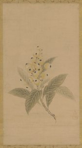 江户时期，17世纪，一枝梅花。 作者 鹿野探游