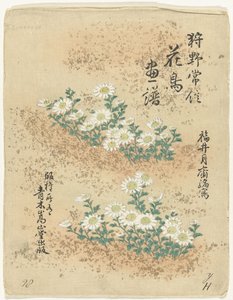 目录
狩野常信的花鸟素描（系列标题）
Kano Tsunenobu kacho gafu（实物上的系列名称） 作者 青木小三郎