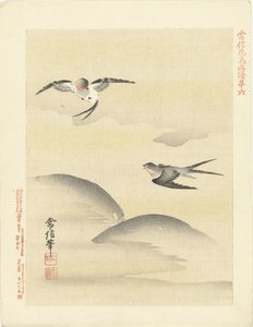 两只燕子
狩野常信的花鸟素描（系列标题）
Kano Tsunenobu kacho gafu（物体上的系列标题） 作者 青木小三郎