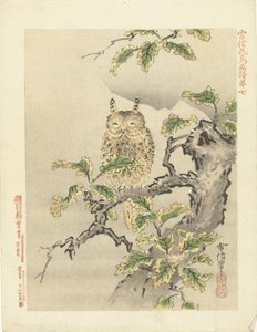 树枝上的猫头鹰
狩野常信的花鸟素描（系列标题）
Kano Tsunenobu kacho gafu（物体上的系列标题） 作者 青木小三郎