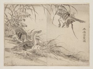 生活在芦苇丛中的大雁（彩色木刻版画 作者 观世斋