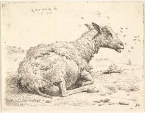 1655年，部分剪草的绵羊躺在草地上，周围盘旋着昆虫。