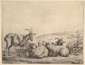 两只山羊和三只羊，1655年。