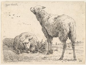 两只绵羊，其中一只正面显示为斜躺状态，其腿部折叠在...下方。 1655。