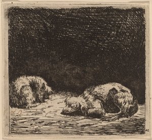 猫狗 作者 卡雷尔·杜哈丁（Karel Dujardin）