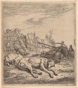 猎犬 作者 卡雷尔·杜哈丁（Karel Dujardin）