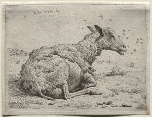 绵羊和苍蝇 作者 卡雷尔·杜哈丁（Karel Dujardin）